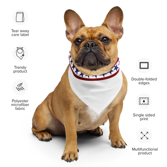 Fashion Bandana Icon